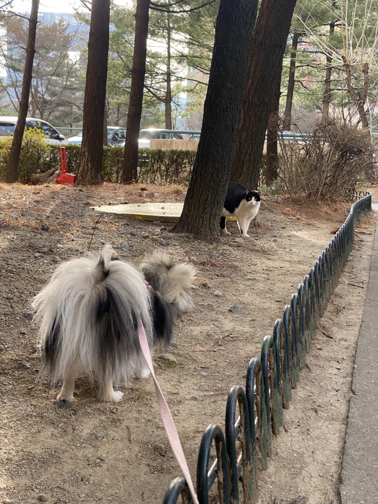  미지와의 조우