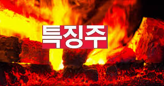  물가상승으로 철강주 상승렐리 ,시황체크 및 찌라시종목 가진 분 참고