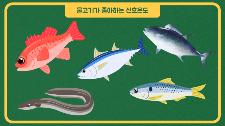  바다낚시터 대상어 정보와 물고기가 좋아 하는 해수(바다)수온(온도) 알아보기.