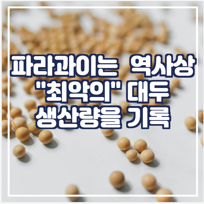  파라과이는 역사상 "최악의" 대두 생산량을 기록