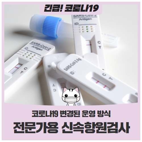 전문가용 신속항원검사 양성 시, 바로 확진으로 인정? 전문가용 신속항원검사 양성 시, 바로 확진으로 인정?