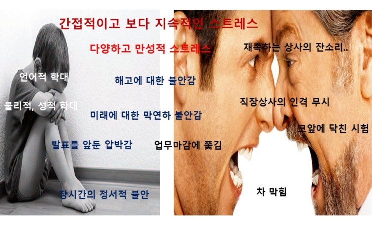  스트레스 받으면 뱃살(내장지방, 복부지방)이 찌는 이유
