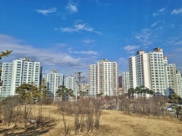  벨타사르 그라시안의 아름다운 끝