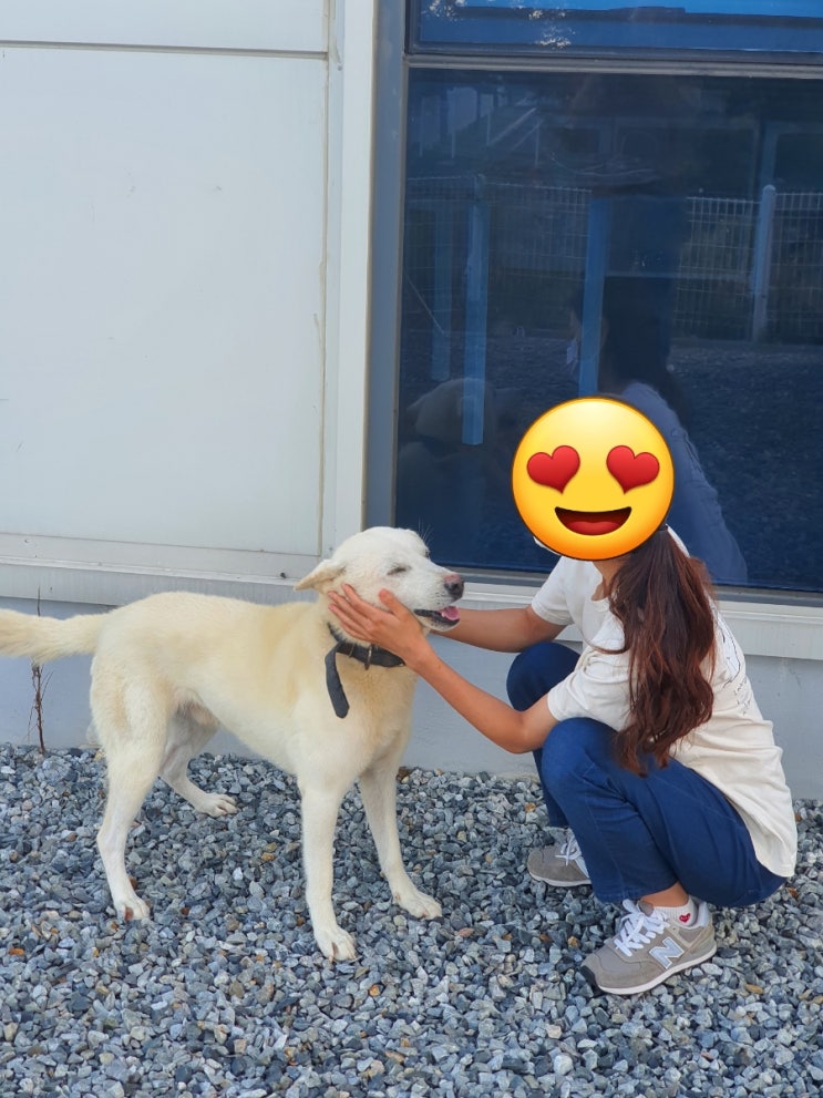  와이프를 좋아하고 친구로 여기는 진돌이