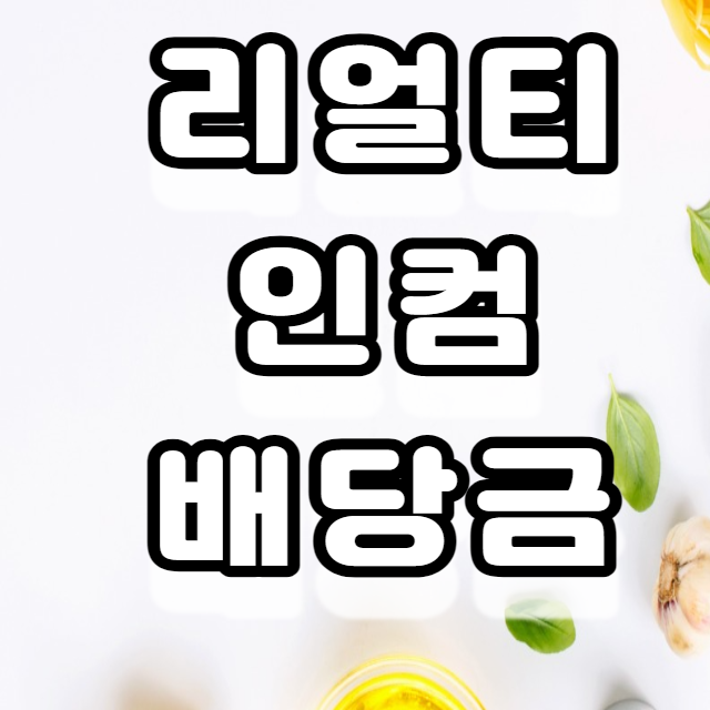 배당투자 기록 리얼티 인컴 배당금 입금 배당투자 기록 리얼티 인컴 배당금 입금