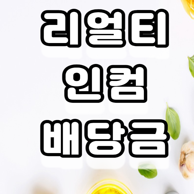 배당투자 기록 리얼티 인컴 배당금 입금