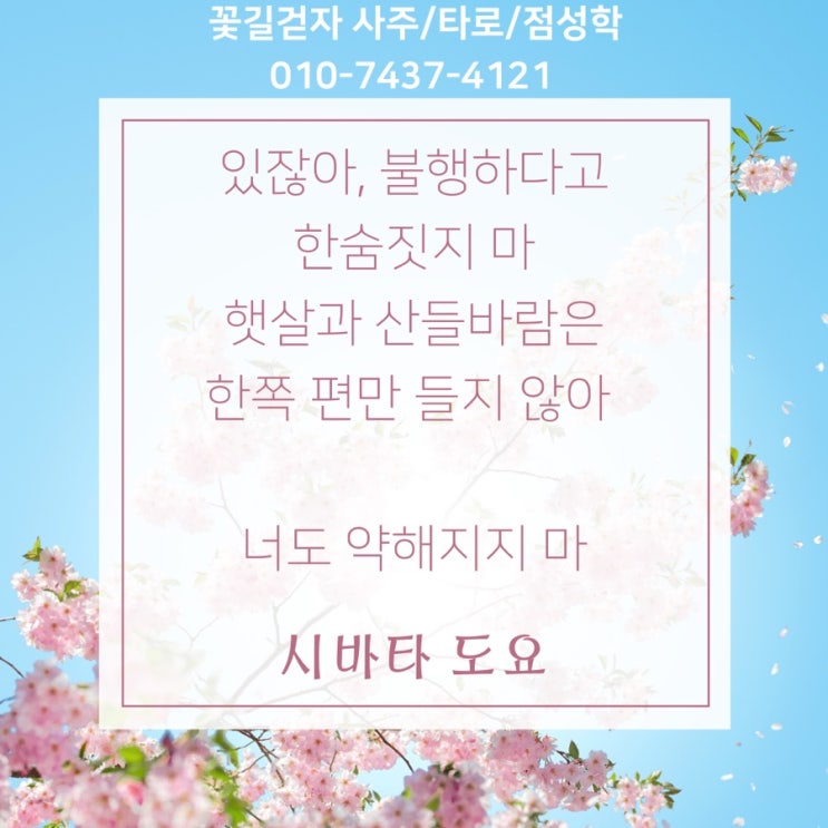  [성신여대타로/ 성신여대사주/ 성신여대점성술] 꽃길걷자 사주타로 감성글귀