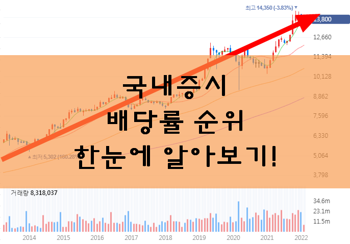 국내 배당금 순위 간단하게 확인하는 법