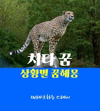 치타꿈 : 상황별 다양한 꿈해몽
