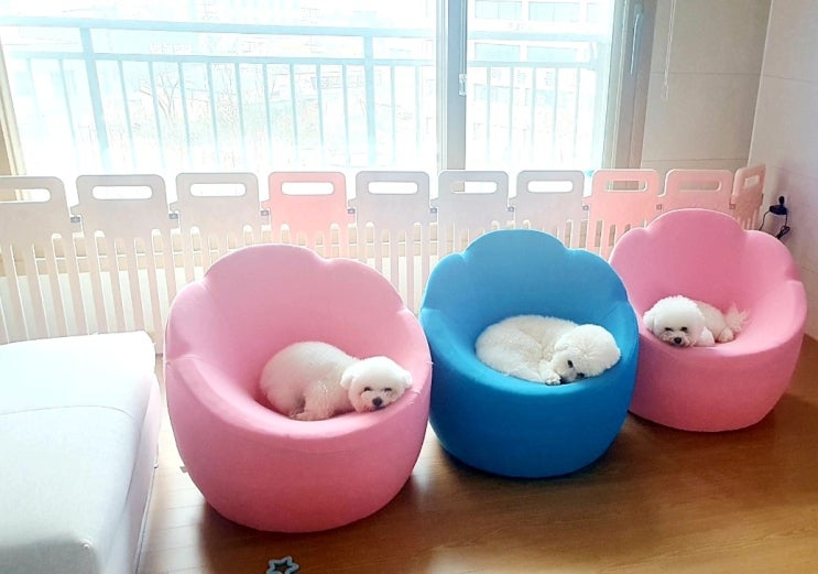  핸드메이드애견옷 주문제작 해드렸어요~