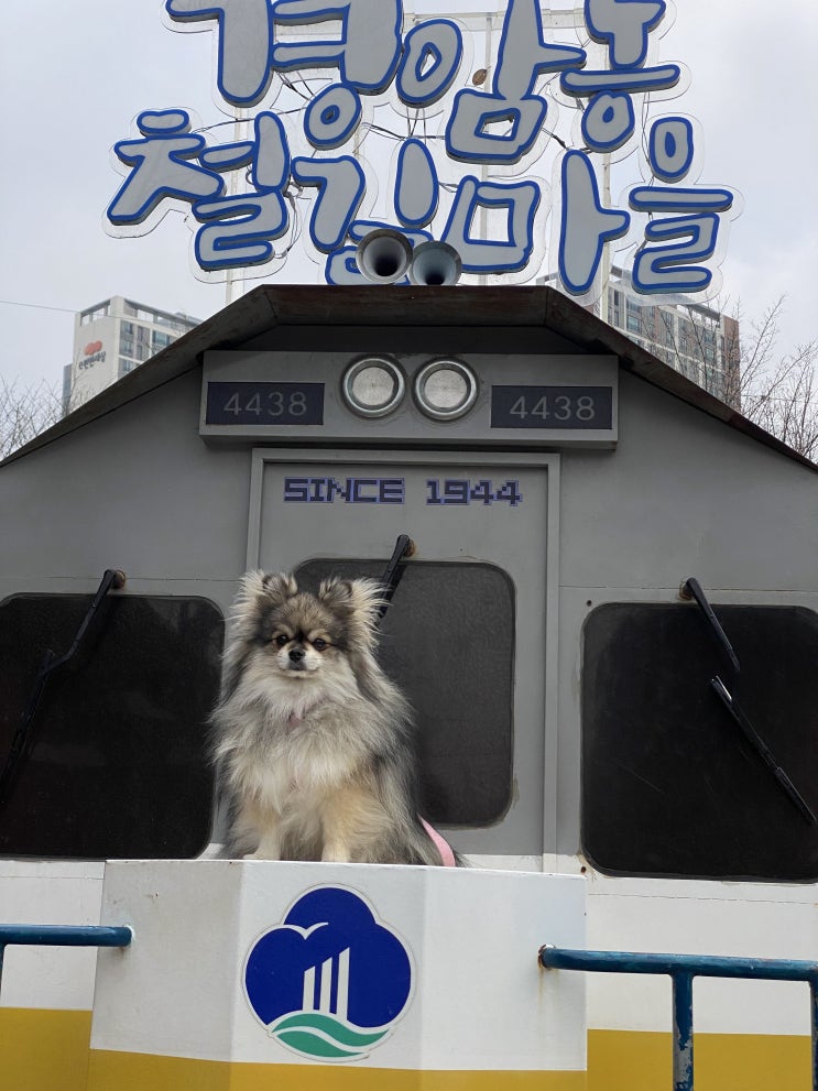  꾸꾸와 군산 여행을 다녀왔어요