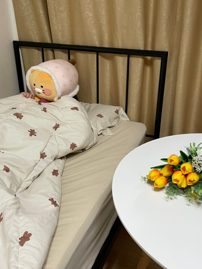 바네스데코 라인 슈퍼싱글 침대프레임 사용후기!