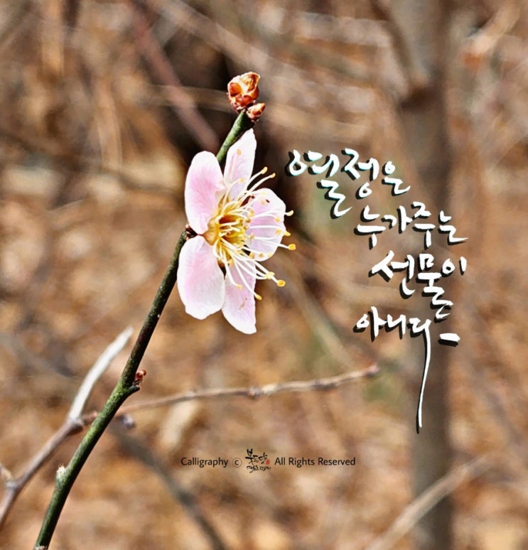  동기부여 긍정명언(ft.서정진 명예회장)