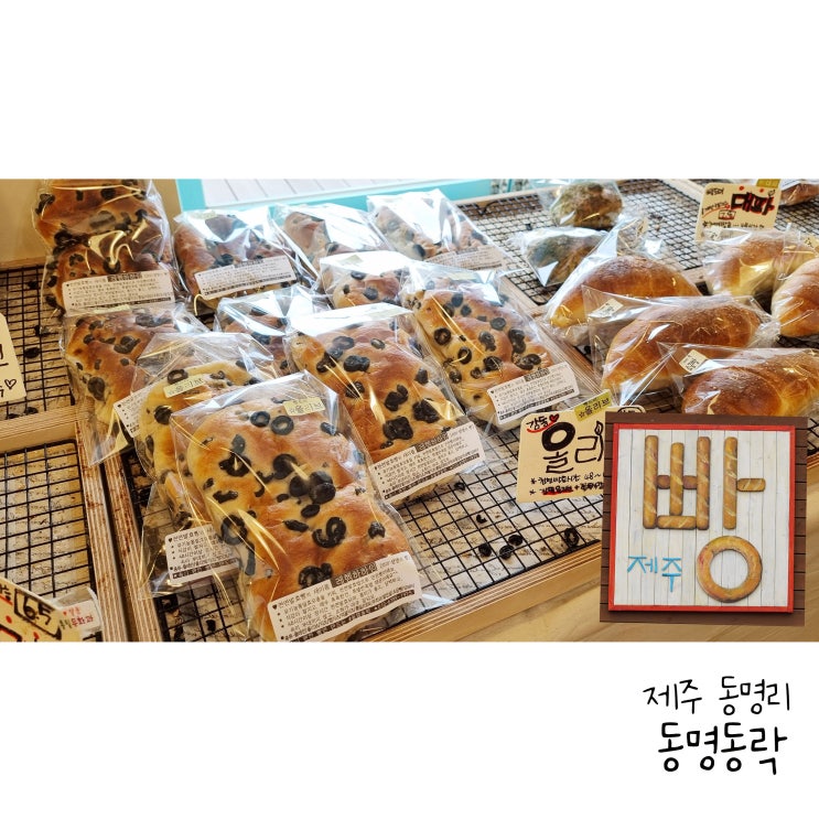  제주빵맛집 한림빵집 동명동락 정말 맛있는 발효빵