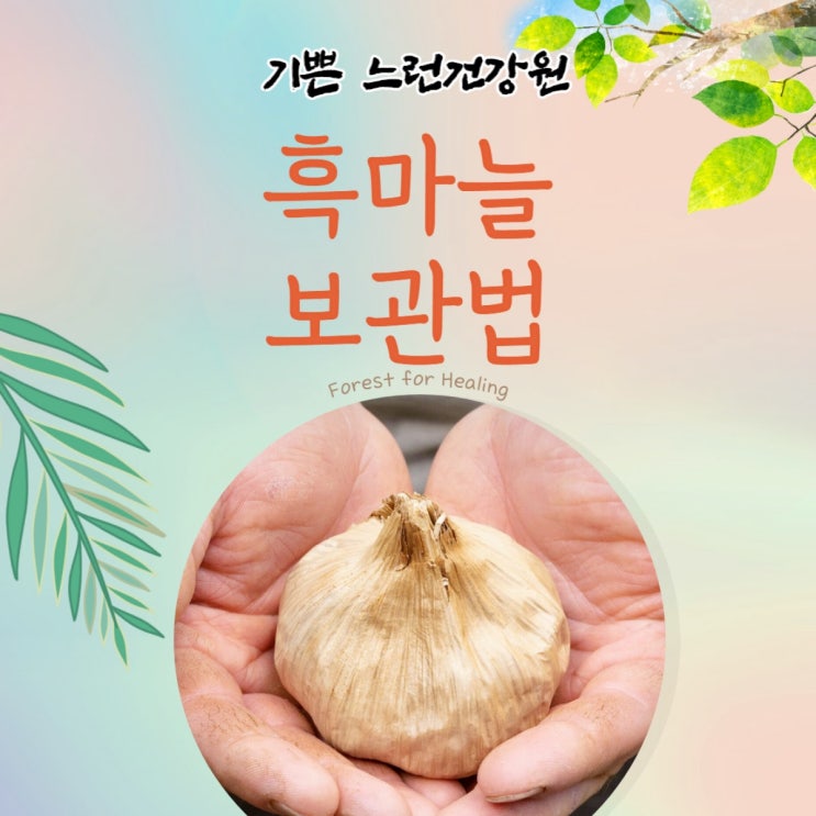  흑마늘보관법. 4단계로 하세요!