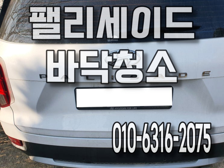  출장세차 자동차바닥청소 동치미제거 팰리세이드 마스터카