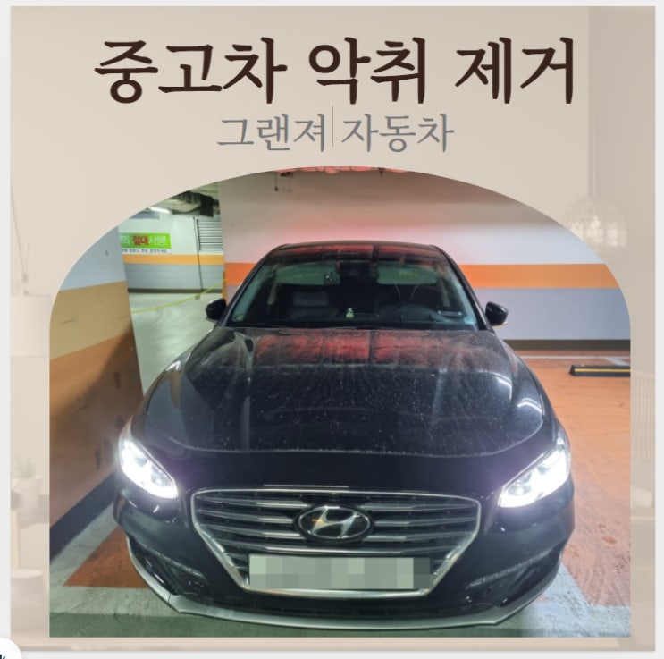  중고 차안에서 냄새가 날 때 어떻하죠?