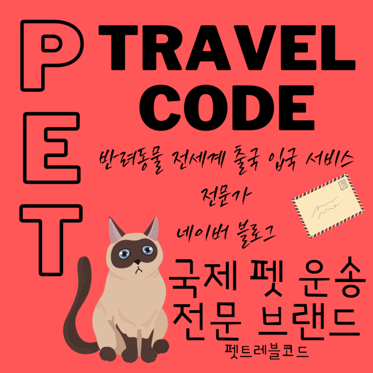  해외에서 반려동물 입국 강아지 고양이 한국 검역 계류장 [Moment]