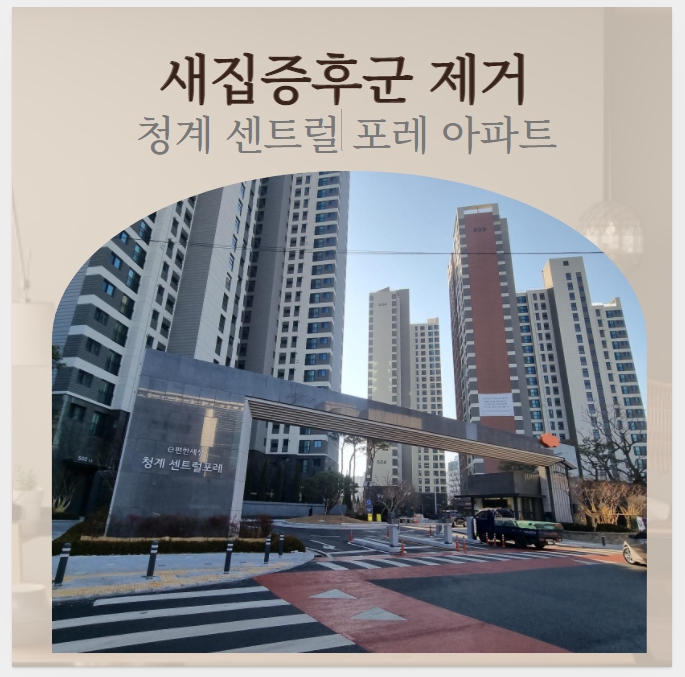  입주청소 새집증후군 피톤치드가 정답일까?
