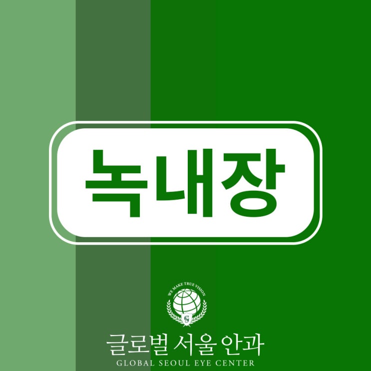 강남안과 녹내장 증상 치료 등에 대해 알아봅시다 강남안과 녹내장 증상 치료 등에 대해 알아봅시다