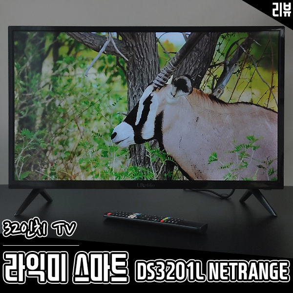 가성비 티비겸용모니터 32인치TV 라익미 스마트 DS3201L 가성비 티비겸용모니터 32인치TV 라익미 스마트 DS3201L