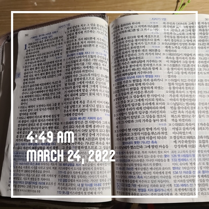  대학교알바 감사-10