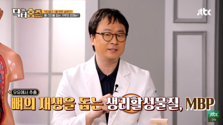  뼈에 탁월한 MBP 가루