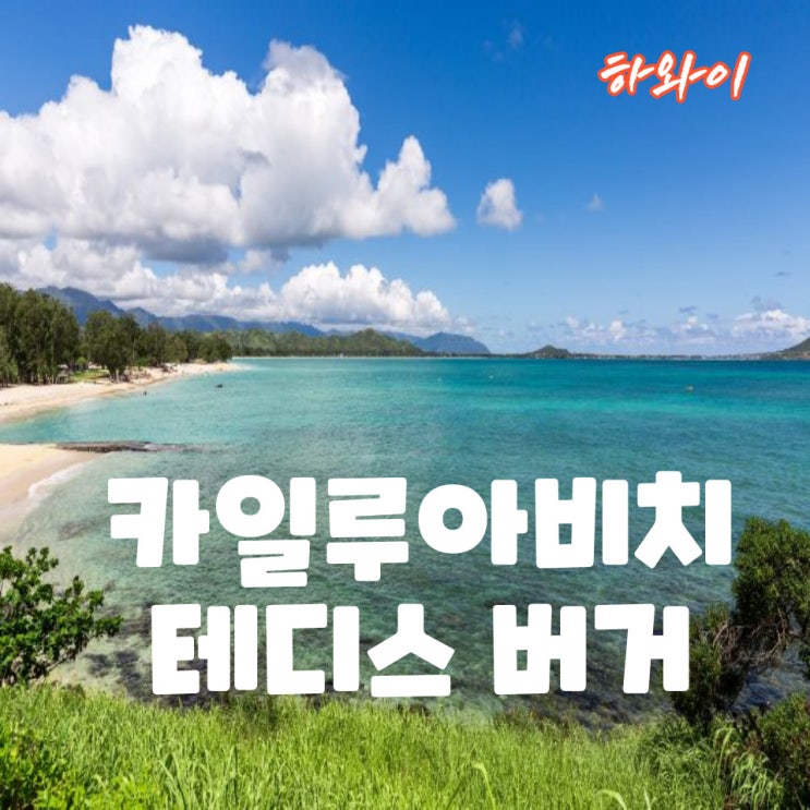  하와이 카일루아 비치와 테디스 버거