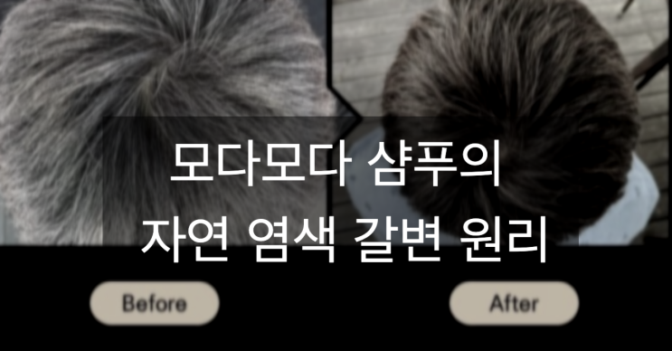  모다모다 샴푸의 자연 염색 갈변 원리는 무엇인가?
