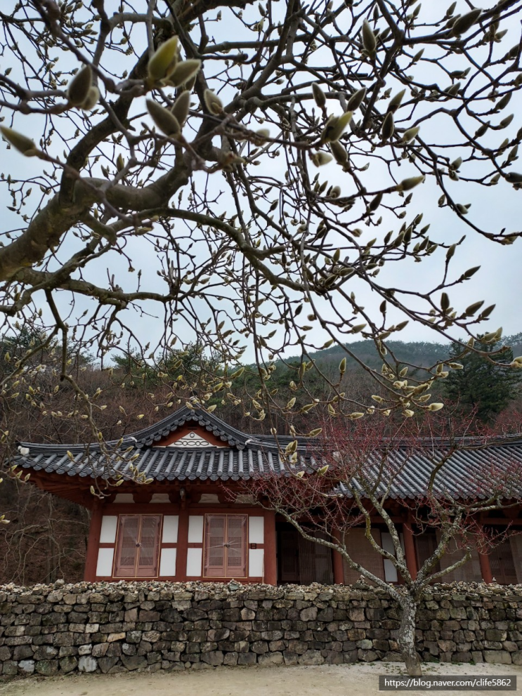  [차박 캠핑] 전북 부안군 여행(3/5) : 부안 가볼만한곳(부안내소사,줄포만갯벌생태공원 등)