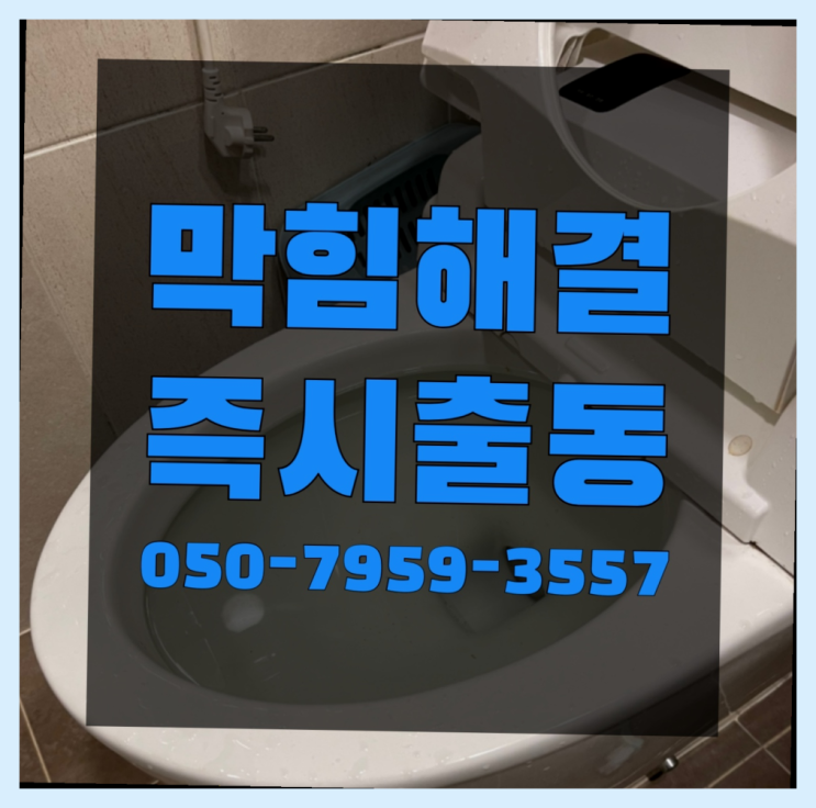  대변기막힘 ?변기,하수구,씽크대막힘 빠른 출장 완전 굿