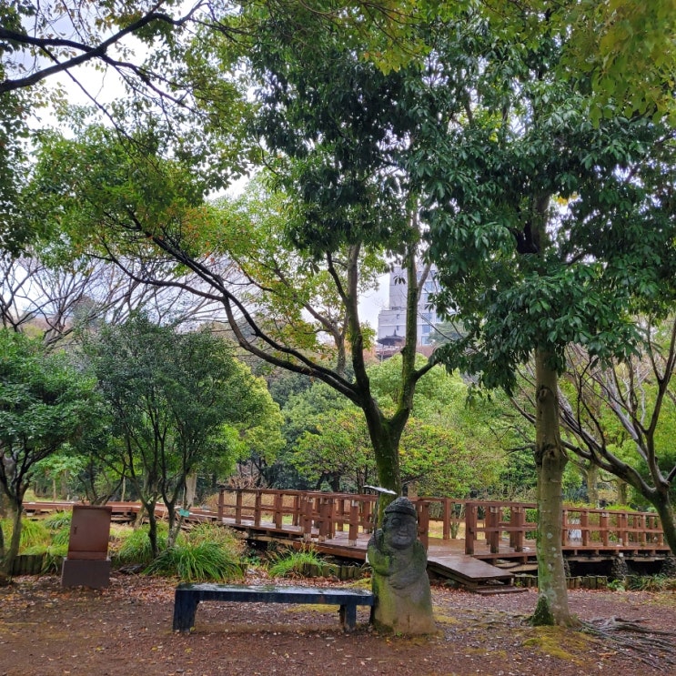  [제주]제주도 여행 올레길 산책로 걸매공원 힐링스팟