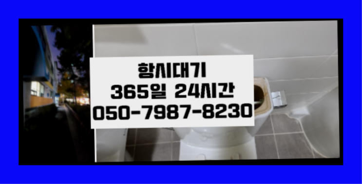  <긴급출동> 화장실하수구벌레 ?배관막힘 365일 24시간 출장 끝판왕~~