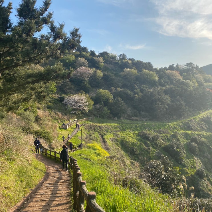 제주 사라봉, 별도봉 가벼운 오름 산책코스로 추천 제주 사라봉, 별도봉 가벼운 오름 산책코스로 추천