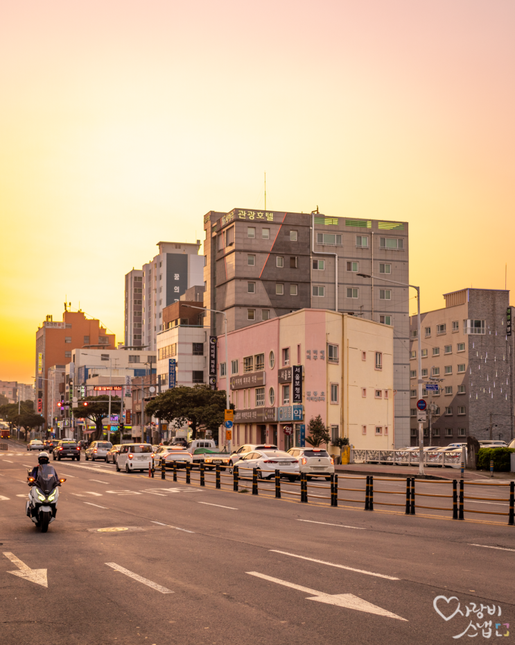  제주 월정리는 카페가 다했네 by 석영작가