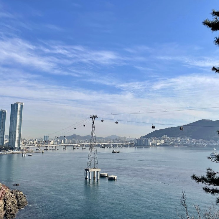  #220324 2박3일 부산여행 - 송도 해안산책로, 암남공원