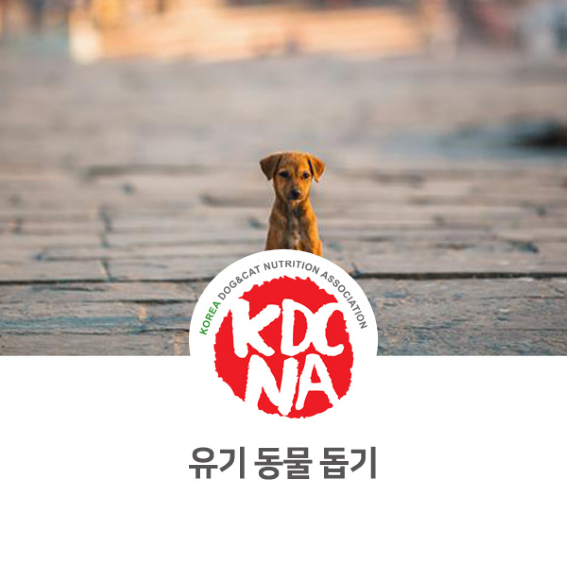  유기동물을 돕는 방법 [한국반려동물영양협회/성다훈/펫푸드학원/펫푸드자격증/애견간식만들기/전주/부천/시흥/여수/제주_1008]