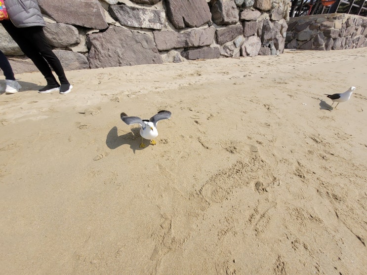  오랜만에 비오는 밤이다. 주륵주륵 공기도 상쾌하네