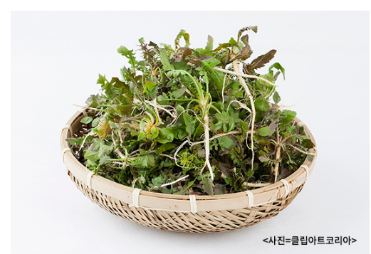 향긋하고 봄 내음 가득한 봄나물 7가지 향긋하고 봄 내음 가득한 봄나물 7가지