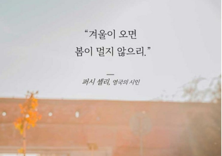 부거사이 [부동산 뉴스와 블로그] 3월 25일(금)