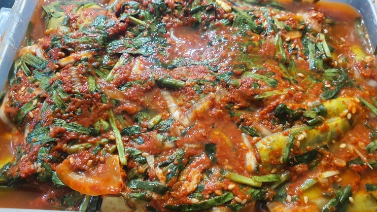  잊고 살았다 조구라는 주부였다