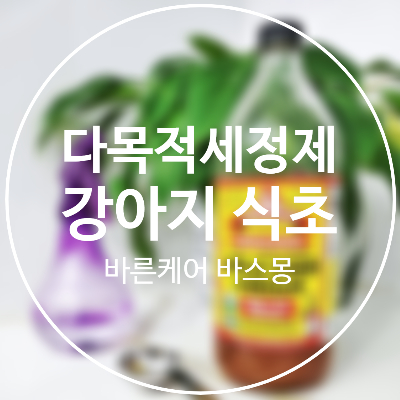  강아지 식초로 다목적 세정제