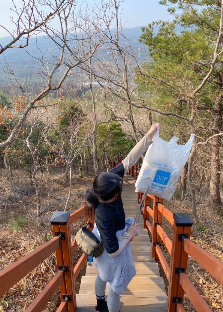 [제주 클린올레] 1365 봉사실적 인증 신청 방법 | 봉사인증 결과