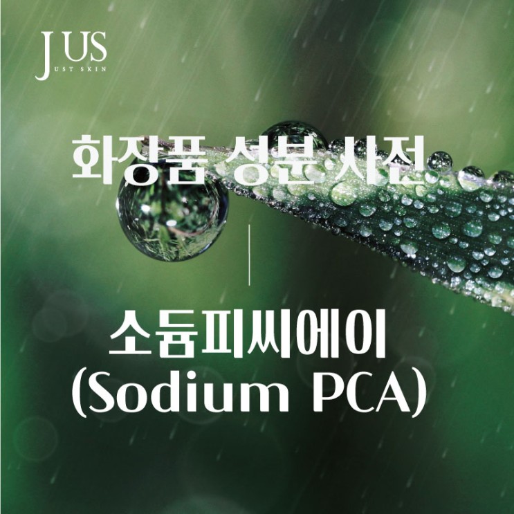 화장품 성분 사전 #5: 천연 보습인자 소듐피씨에이 (Sodium PCA)