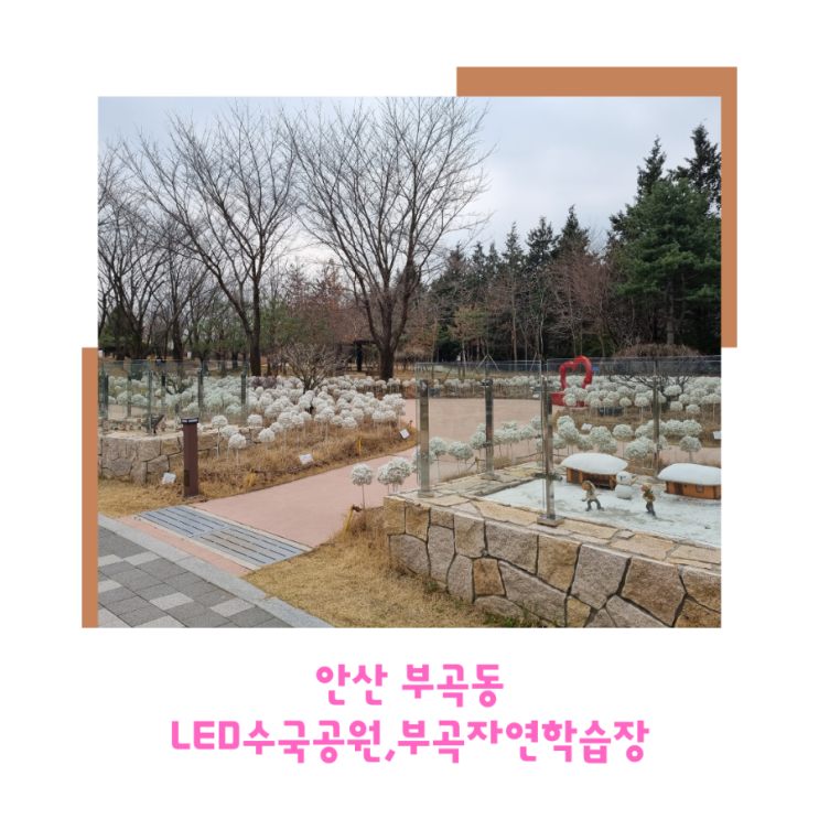  안산 부곡동 LED수국공원 부곡자연학습장 아이들하고 산책하기 너무 좋아요