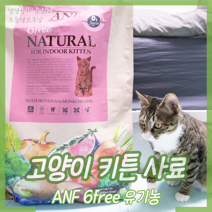 고양이 키튼 사료 ANF 6free 유기농으로 먹여봤어요