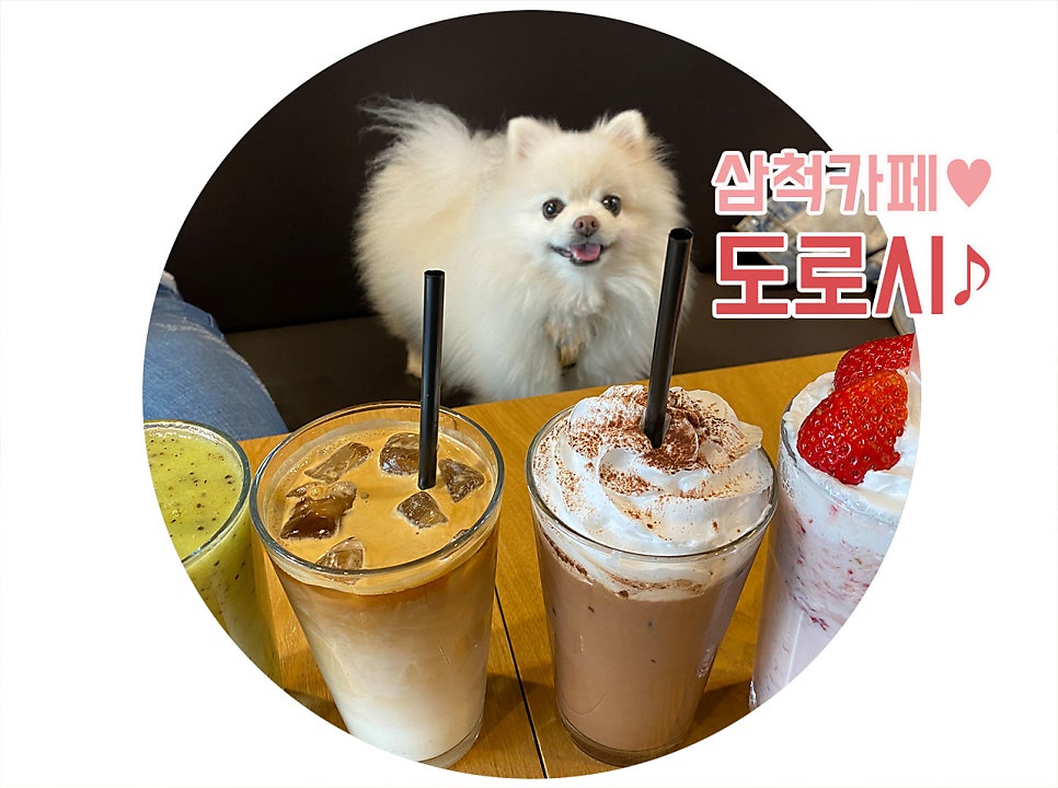 카페도로시 사진 1