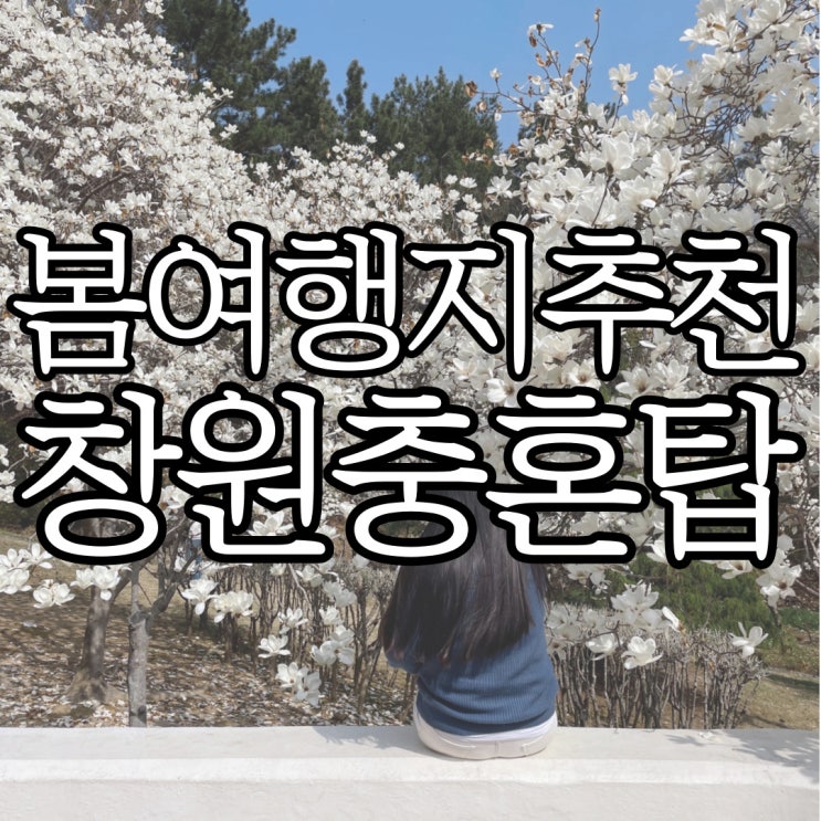  봄 여행지 추천, 예쁜 목련 포토존이 있는 창원 충혼탑