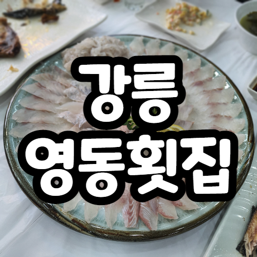 강릉 강문해변 영동횟집, 강릉카페거리 AM브레드앤커피
