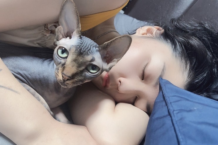  코로나 걸리는법 : 나 슈퍼항체인듯;; 이라고 말하기